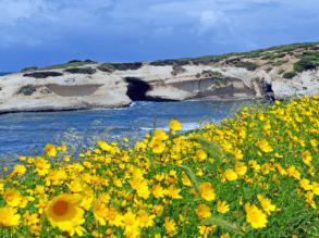 Frühling Sardinien