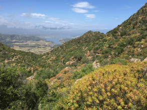 Touren an der Südostküste – Costa Rei auf den Monte Ferru