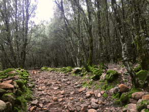 Trekkingtour zum Wasserfall von Piscina Irgas bei Villacidro