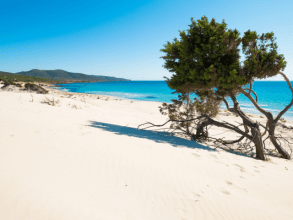Porto Pino wei&szlig;e Sandd&uuml;nen im S&uuml;dwesten Sardiniens