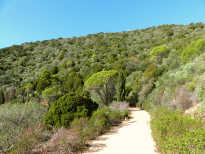 Antica Strada Romana Nora – Bithiae