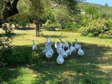 Tenute Murales Olbia - sardinia4all 2026 (37).jpg