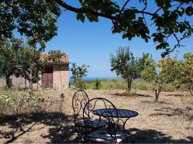 Tuin en zee Bed & Wine Anima Sarda - Sardinia4all