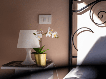 Domus de Goene (16).png