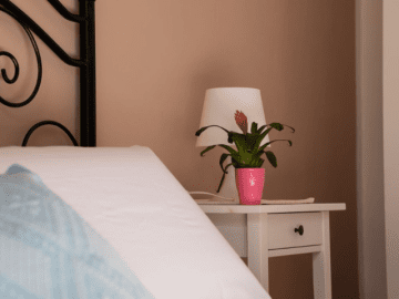 Domus de Goene (19).png