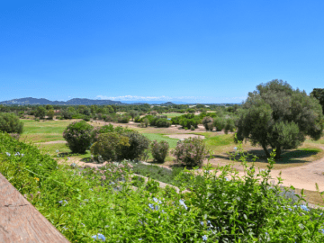 Is Molas Resort (15).png