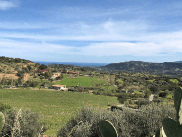 Domus de Goene (10).png