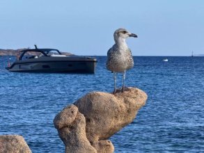 Sommer, Sonne, Strand, Sardinien - im September