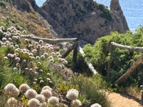 Sardinien im Mai – blühende Natur, ruhige Strände und erste Badetage