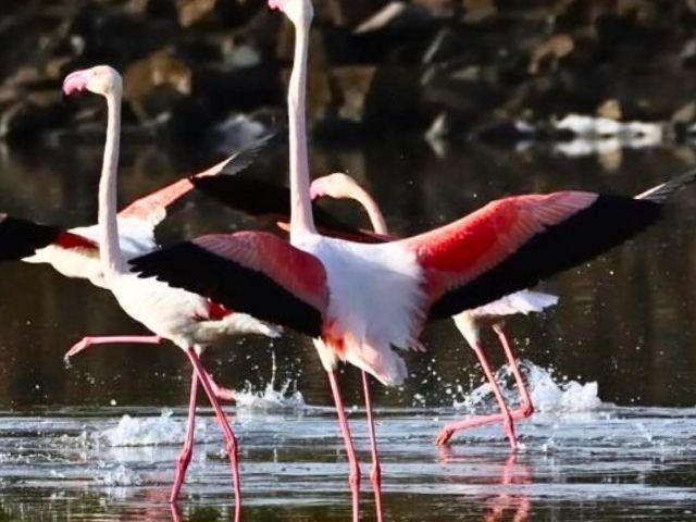 Hotel Santa Gilla Capoterra - SARDINIA4ALL 2026