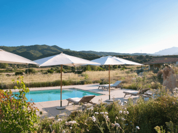 Cantos e Sonos (2).png