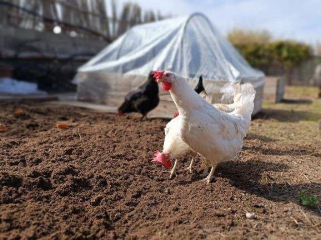 Il Sentiero B&Bio