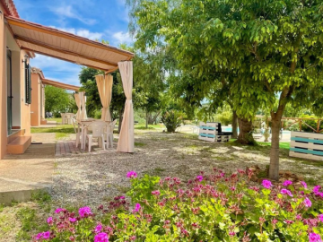 Domus de Goene (12).png