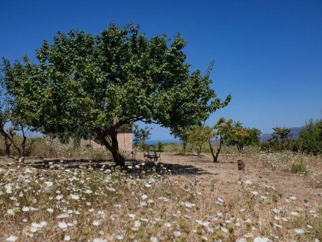 Tuin Bed & Wine Anima Sarda - Sardinia4all