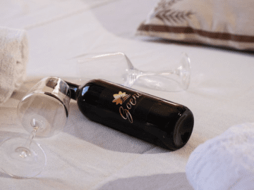 Domus de Goene (15).png