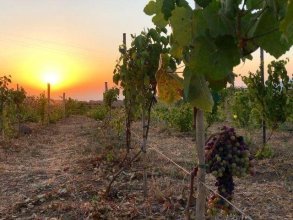 Bed & Wine Anima Sarda