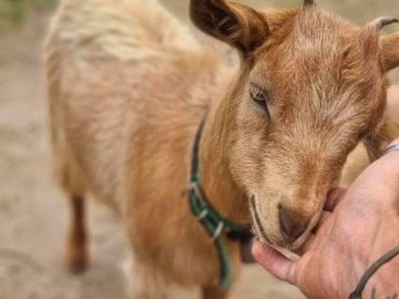 Tenute Murales Olbia - sardinia4all 2026 (2).jpg