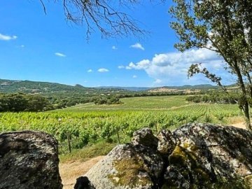 Tenute Murales Olbia - sardinia4all 2026 (32).jpg