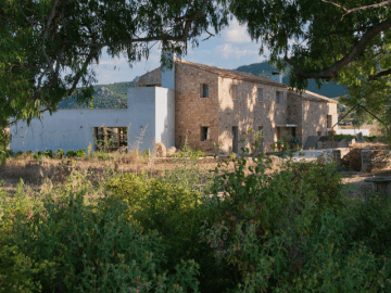 Cantos e Sonos (8).png