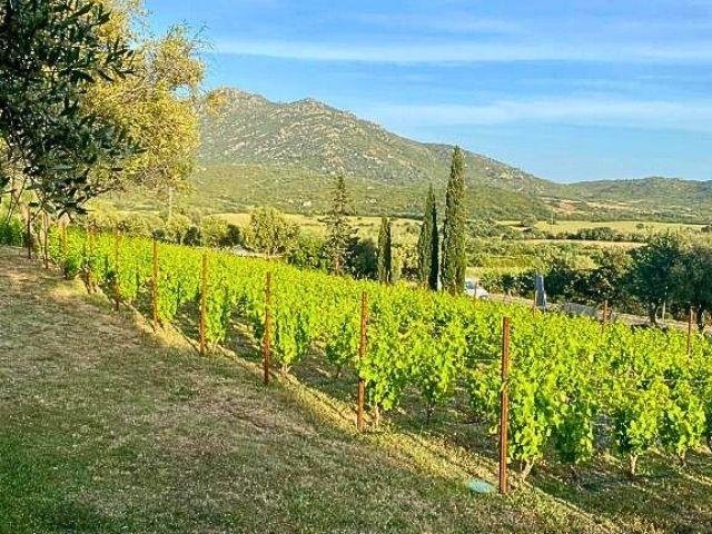 Tenute Murales Olbia - sardinia4all 2026 (36).jpg