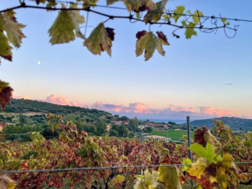 Domus de Goene (9).png