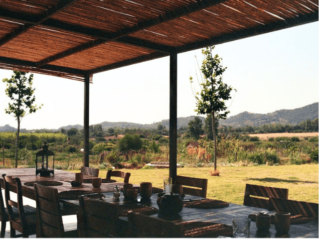 Cantos e Sonos (6).png