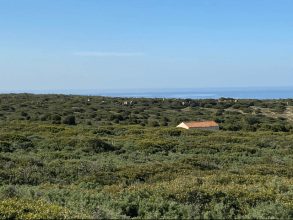 Wanderung Buggerru nach Cala Domestica - Südwest-Sardinien Ausflug