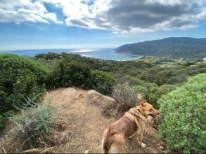 Küstenwanderung ab Cala Pira ✓ zum Wachturm Cala Pira - Für Familien mit großen Kindern geeignet ✓ Tourendauer 1,5 Stunden ✓ Tipps und Tricks für Aktivurlaub auf Sardinien