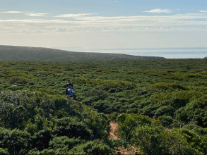 Wanderung Buggerru nach Cala Domestica - Südwest-Sardinien Ausflug