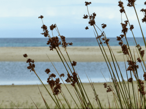 Wandern von Capo Comino nach Berchida - Nordost-Sardinien