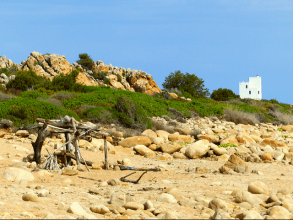 Wandern von Capo Comino nach Berchida - Nordost-Sardinien