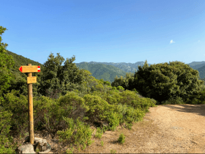 Riu Alinu - Herrlicher Wasserfall im Dschungel von Is Cannoneris