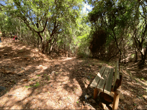 Riu Alinu - Herrlicher Wasserfall im Dschungel von Is Cannoneris