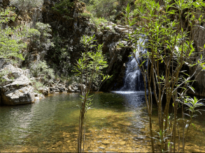 Riu Alinu - Herrlicher Wasserfall im Dschungel von Is Cannoneris