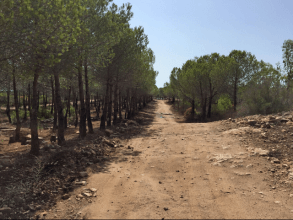 Wandern von Capo Comino nach Berchida - Nordost-Sardinien