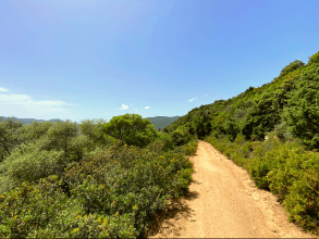 Riu Alinu - Herrlicher Wasserfall im Dschungel von Is Cannoneris