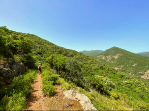 Riu Alinu - Herrlicher Wasserfall im Dschungel von Is Cannoneris