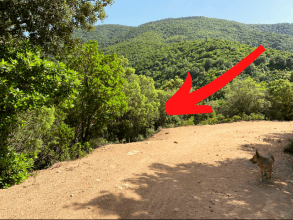 Riu Alinu - Herrlicher Wasserfall im Dschungel von Is Cannoneris