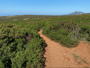 Wanderung Buggerru nach Cala Domestica - Südwest-Sardinien Ausflug