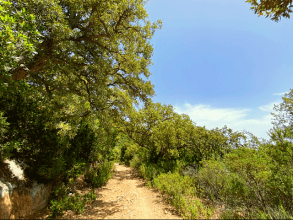 Riu Alinu - Herrlicher Wasserfall im Dschungel von Is Cannoneris