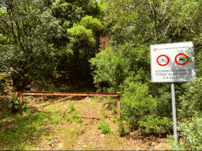 Riu Alinu - Herrlicher Wasserfall im Dschungel von Is Cannoneris