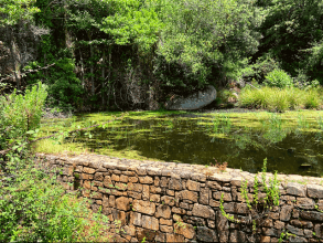 Riu Alinu - Herrlicher Wasserfall im Dschungel von Is Cannoneris
