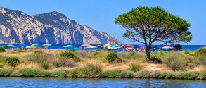 Sardinia in June: weather, swimming & holiday tips